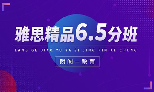 广东雅思精品6.5分班