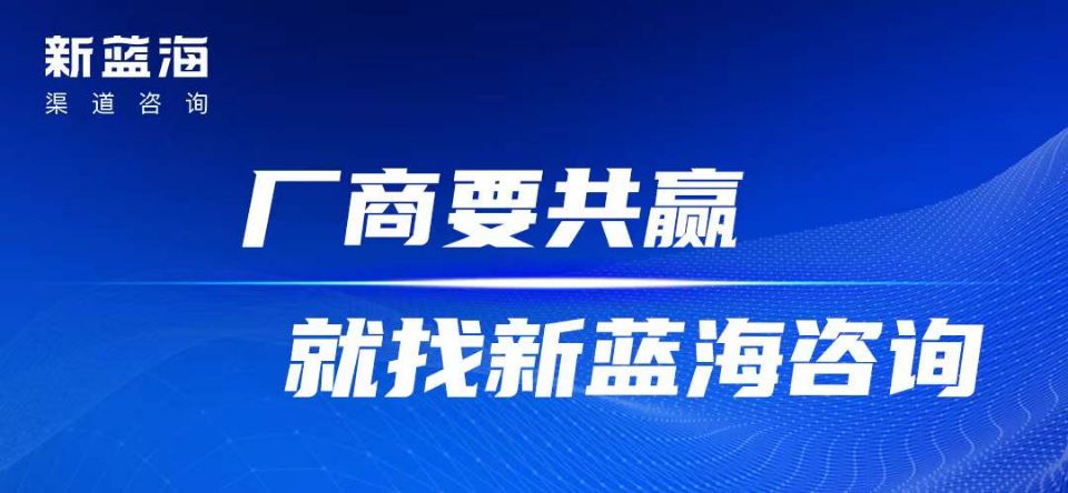 武汉新蓝海营销管理咨询有限公司