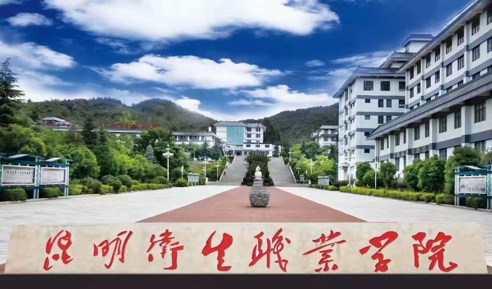 丽江卫生学校2022年助学金有多少，怎么领？