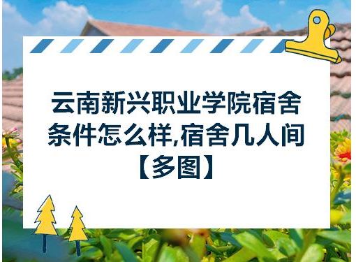 云南新兴职业学校学校环境好吗|怎么样