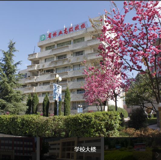 云南省林业高级技工学校住宿条件怎么样？