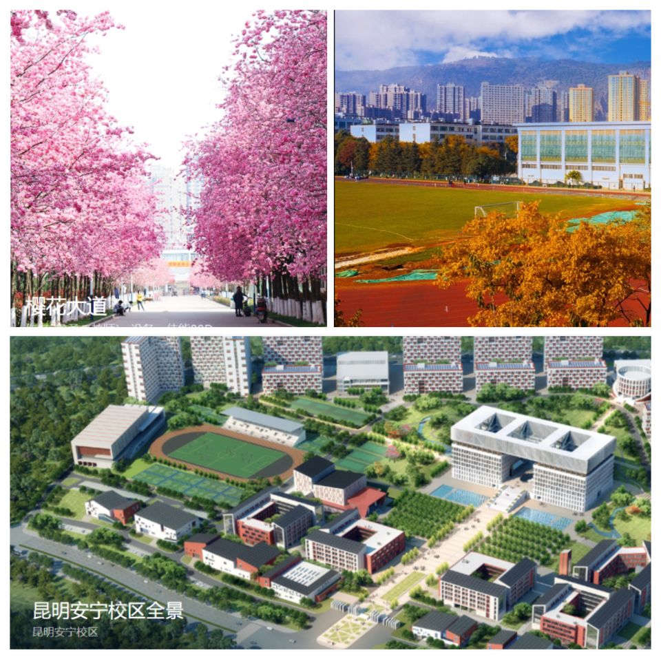 2022年云南医药健康职业学院报读指南