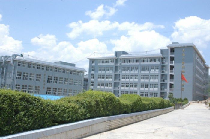 云南三鑫职业技术学 院是公办还是民办？