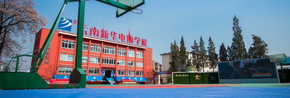 云南新华电脑学校是公办还是民办？