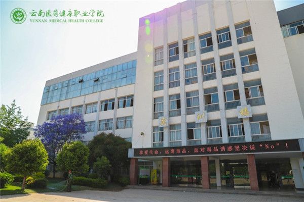 2022云南医药健康职业学院是公办吗
