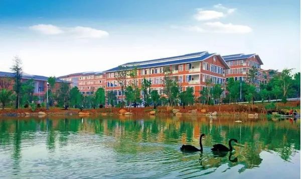2022年云南医药健康职业学 院热门专业有哪些？