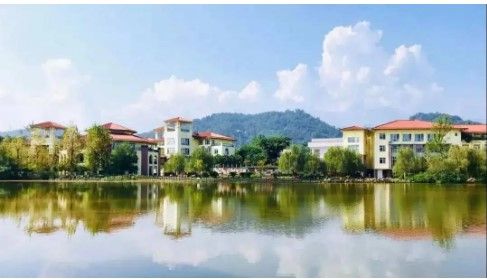 云南省电子信息高级技工学校的学校官网|招生网