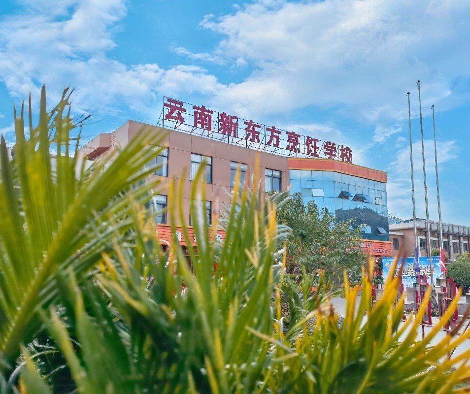 2022年云南新东方烹饪学校报名条件|历年分数线|报名入口