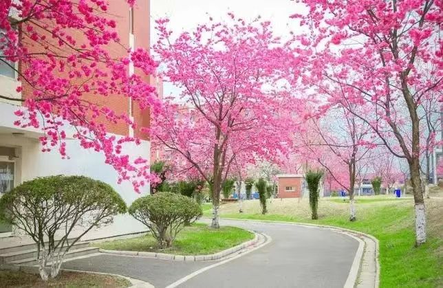 2022云南旅游职业学校招生吗|招生计划