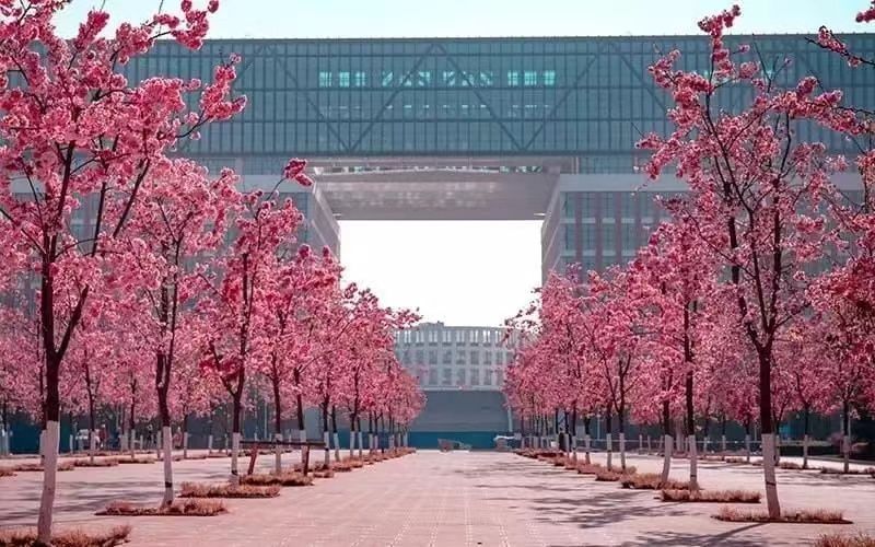 2022云南理工职业学校报考须知|入学须知