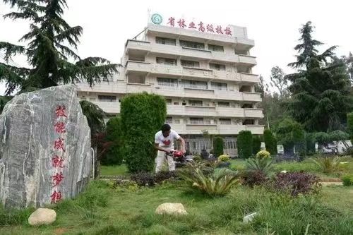 云南省林业高级技工学校校园环境|学校面积