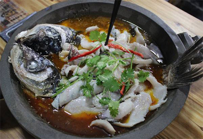 石锅鱼的收获是多少?