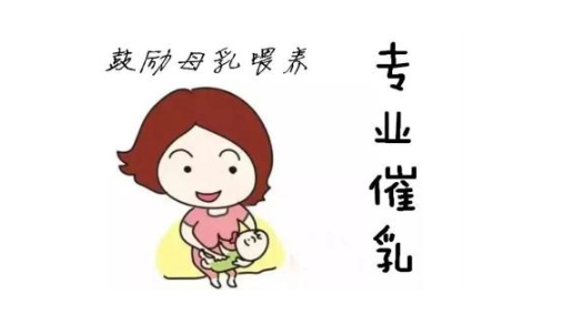 请问：催乳师的报考条件是什么?