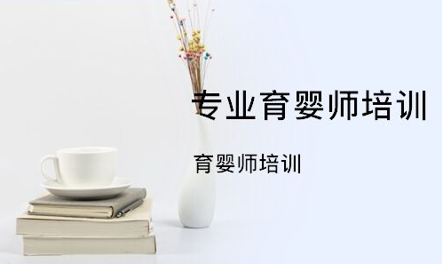 山西哪有育婴师技术培训班