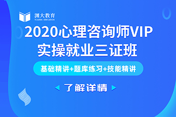 山东2020心理咨询师VIP实操就业三证班