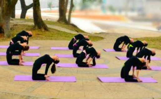 哈他北京瑜伽培训学校