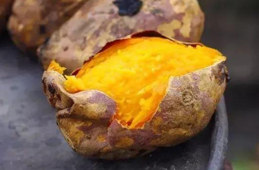 烤红薯技术黑龙江培训班