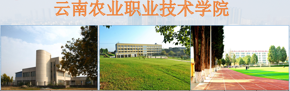農(nóng)業(yè).png