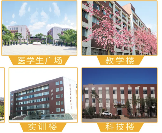 昆明市卫生学校.png