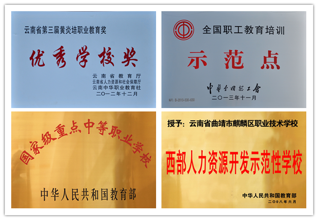 1651199262151933.png 5ff289f1d67a6.png
