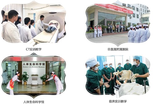 就业.jpg