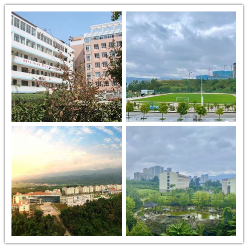 环境四拼.png