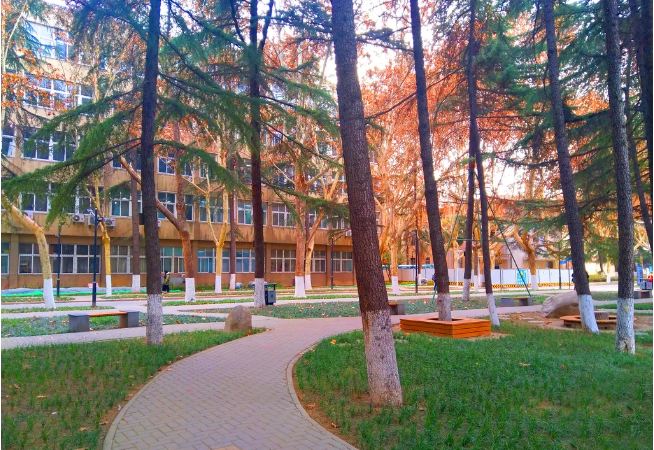 景10.JPG