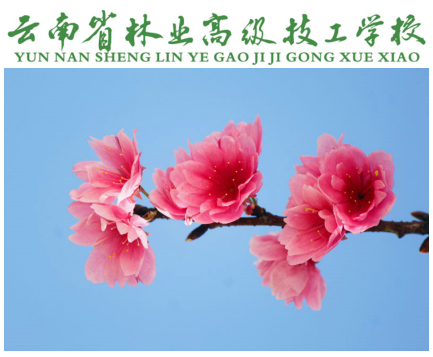 头11.jpg