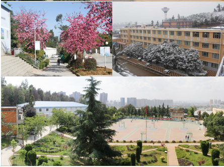 环境3.jpg