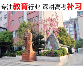 头11.jpg