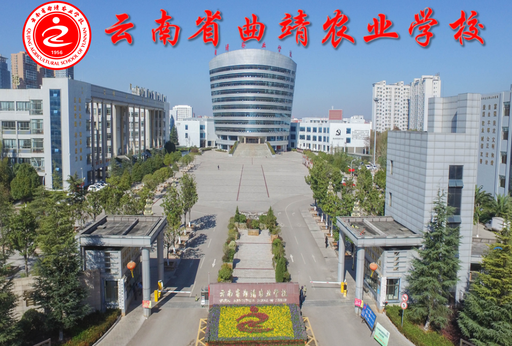 1677740048111921.png 门头1.png